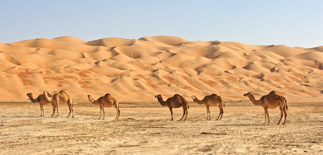 Teach in the middle east - middle east sightseeing